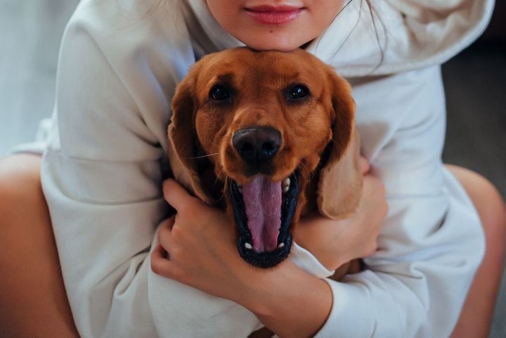 Does cuddling cats or dogs actually ease anxiety?