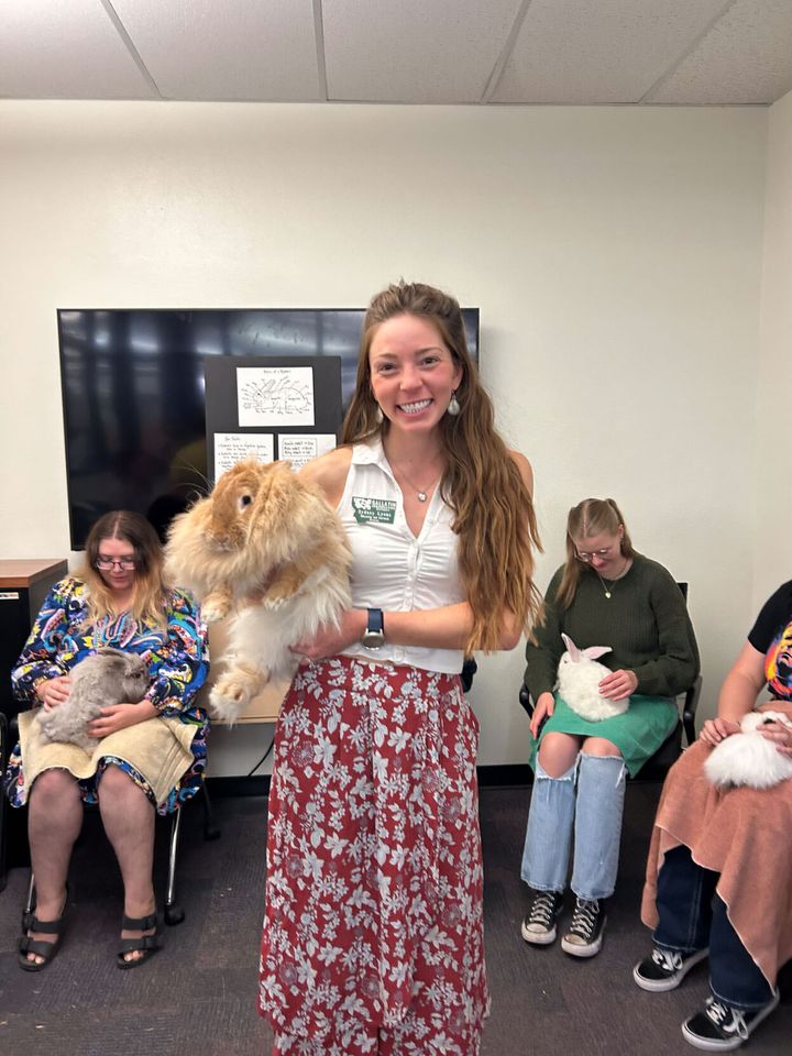 MSU Library hosts rabbits for students alongside Gallatin Conservation District