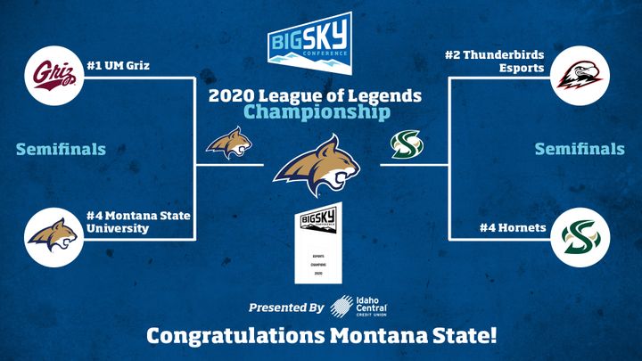 Cat-Griz match-up: Esports edition