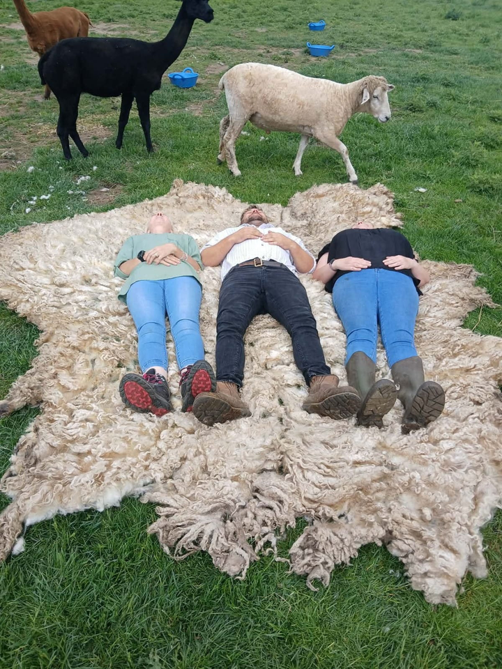 8-foot sheep big enough to make 50 fleece jumpers