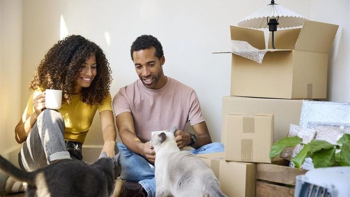 How pet parents can breathe easier with good air quality