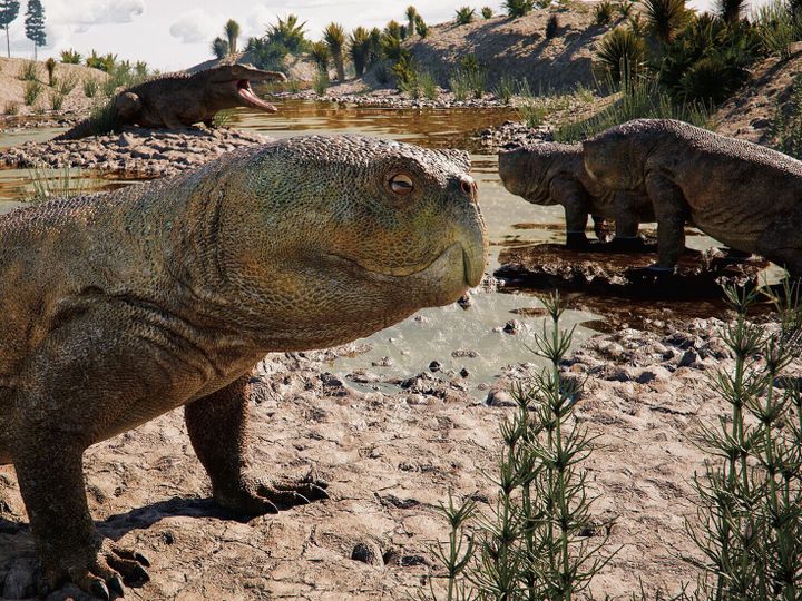 ‘Parrot-beaked’ reptile found in Brazil may have Scottish cousins