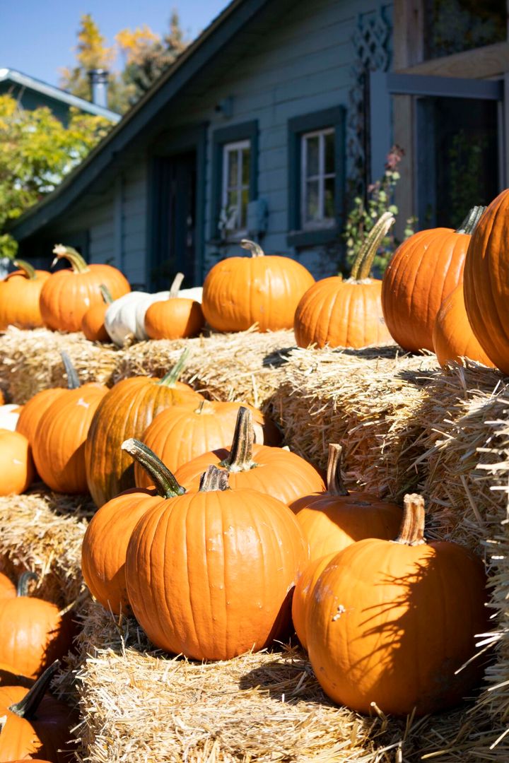 Chilly weather can’t stop farmer’s markets from coming together