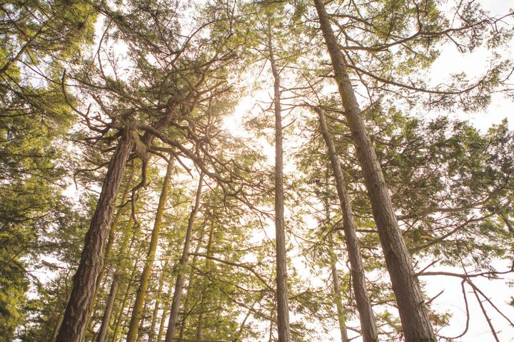 Nature talks