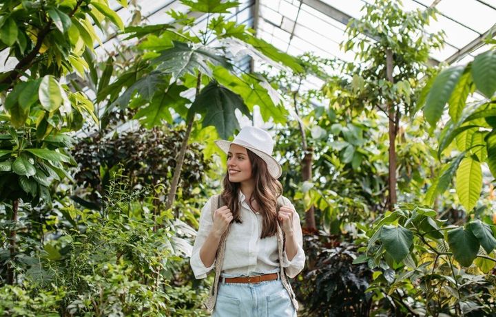 This Small Indiana Garden Just Outranked America’s Biggest Botanical Sites