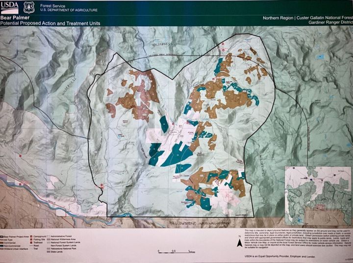 Gardiner conservation group worried about proposed logging near Yellowstone