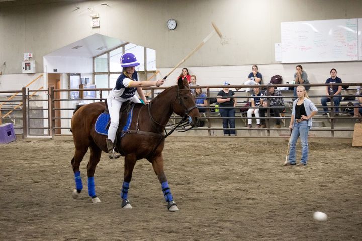 Polo team gallops into the new season