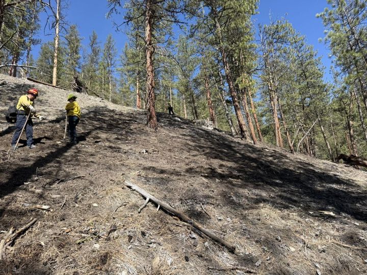 Target shooters accidentally spark fire near Frenchtown