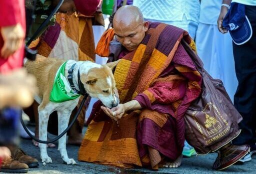 US-based Buddhist monks bring peace walk to Sri Lanka