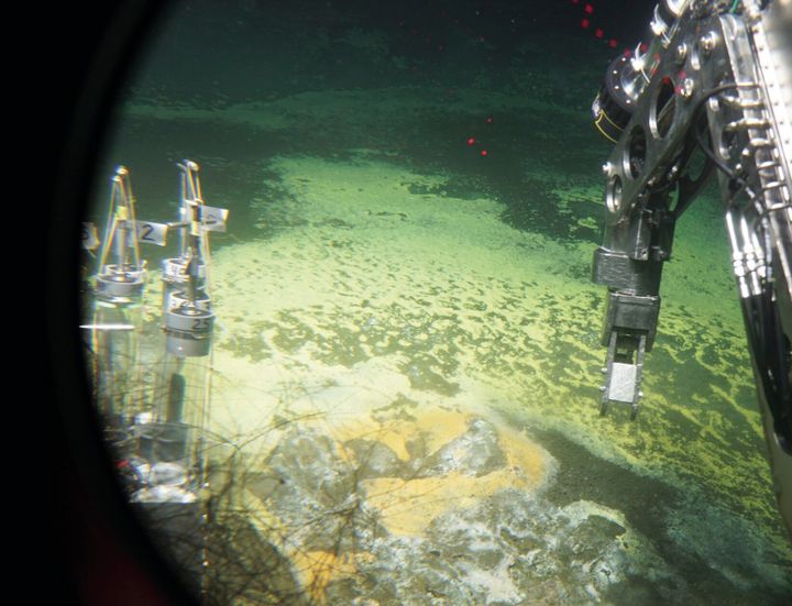 Yellowstone as the wellspring for global thermophilic microbe research