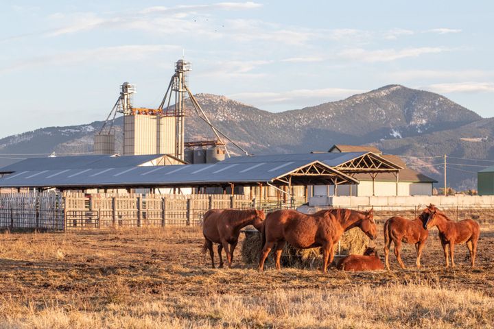 Anonymous donation promotes College of Agriculture programs