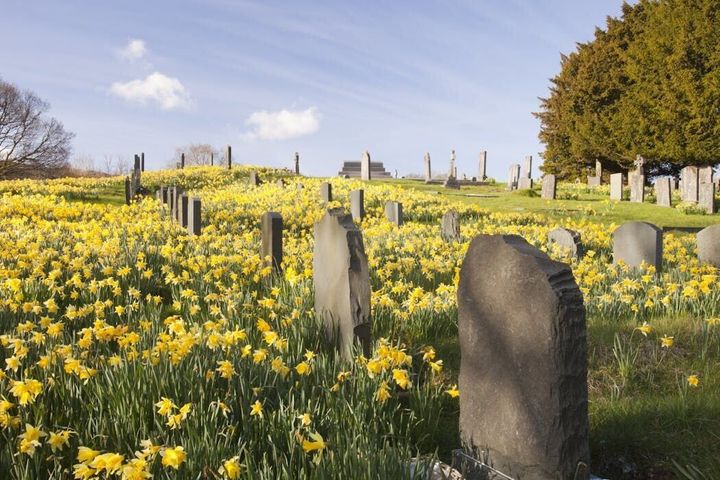 Boom in cremation hides surprising truths about what Americans really want when they die