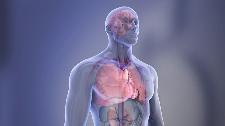 Fatal heart attacks rising among young adults, with women more likely to die