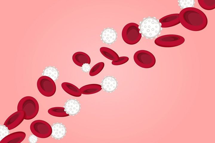 Scientists engineer stem cells to fight aggressive blood cancers