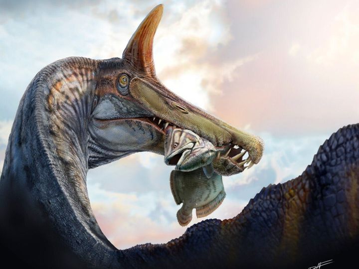 Newly discovered dinosaur was ‘hell heron’ that feasted on fish