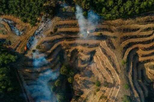 Indonesia firms in palm oil fraud probe supplied fuel majors