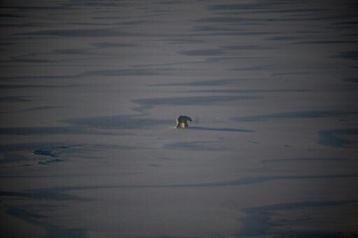 Arctic sea ice at lowest level ever this winter