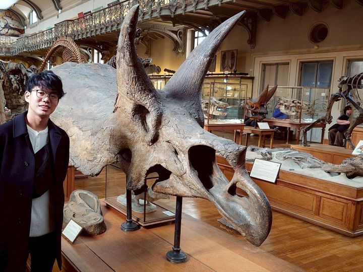 Study finds triceratops’ huge nose helped control body temperature