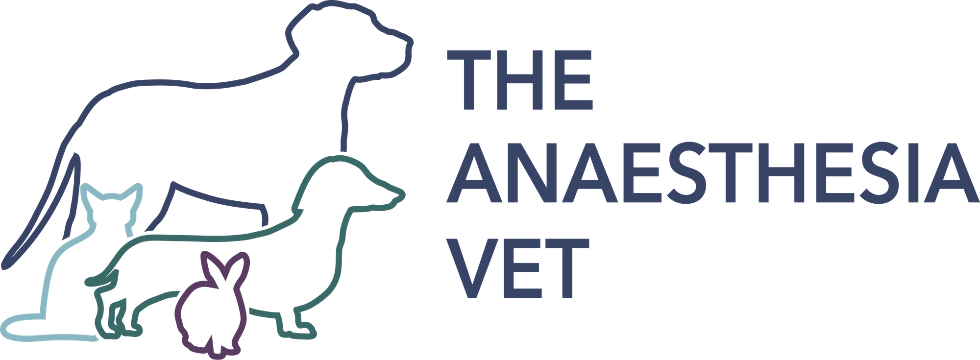 The anaesthesia vet academy