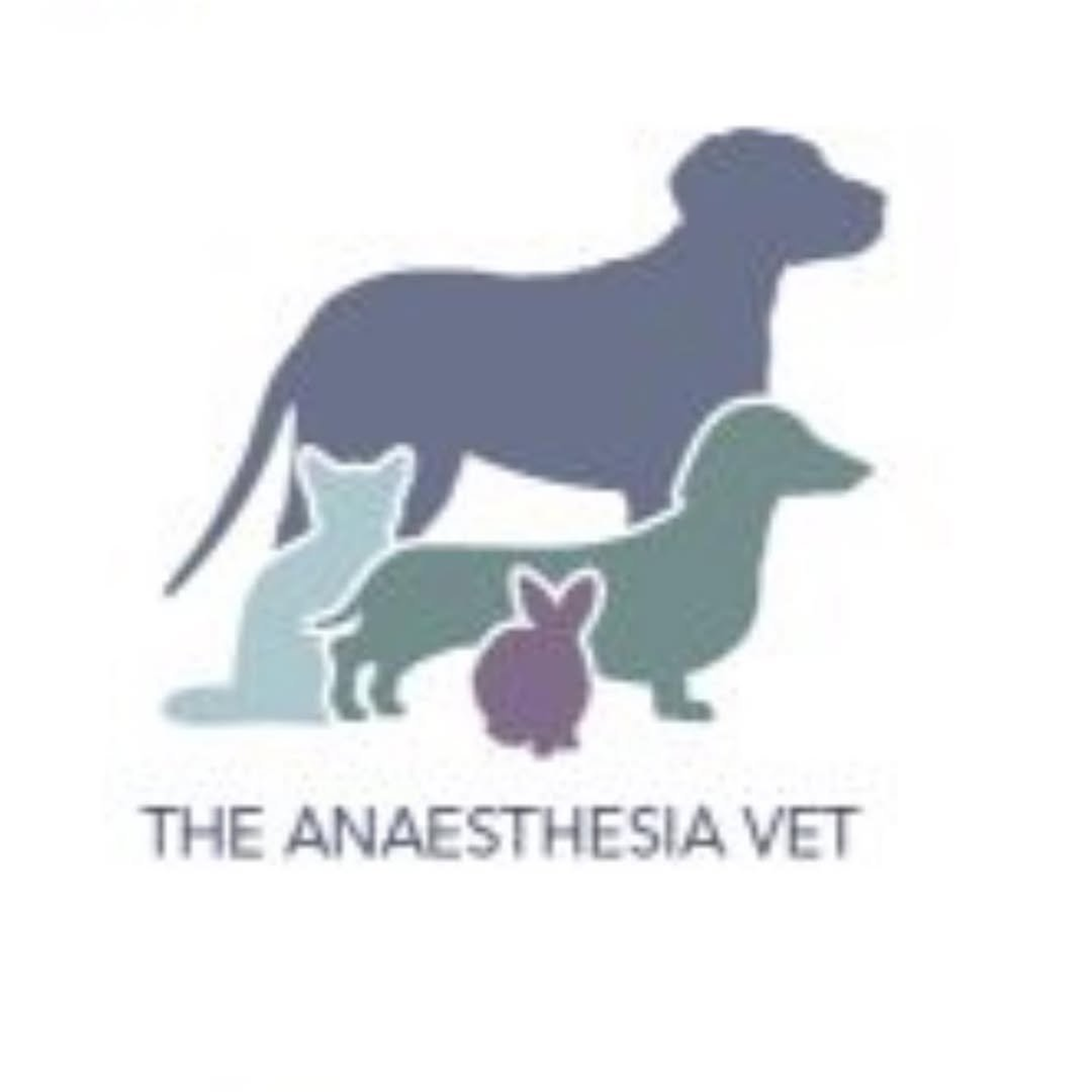 The anaesthesia vet academy
