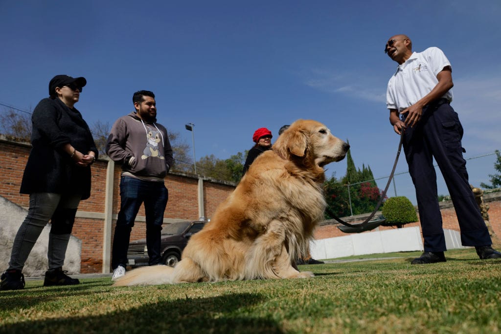 A photo, in profile, of a golden retriever guide dog sitting obediently on a lawn and looking straight ahead, while her trainer, a Black man, stands behind her holding her lead. The photo has been taken from a low angle, almost as if it were from the dog's point-of-view. The trainer is talking to three people, who are standing with their hands crossed and listening to him attentively.