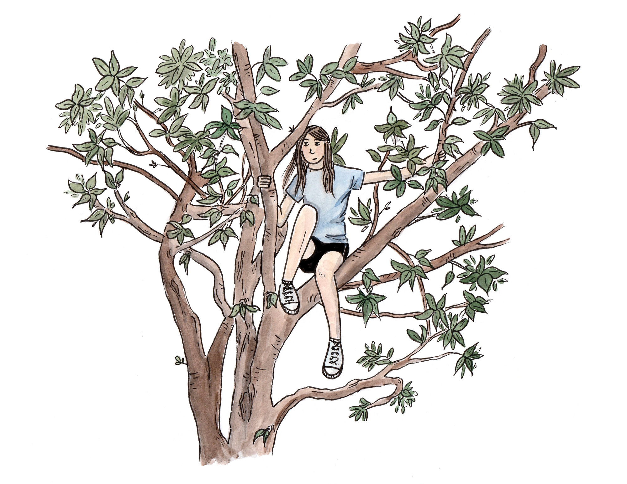 A small girl with brown hair and a light blue shirt sits, grinning, on the top branches of a tree, surrounded by green leaves.