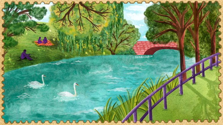 Postcard style illustration of a canal, with two swans swimming. The banks are grassy on either side and the illustration is framed by a canopy of trees.