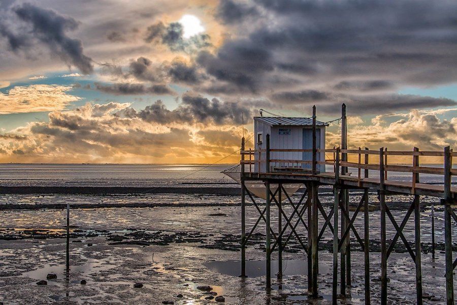 13 idées de visites et d'activités autour de Nantes