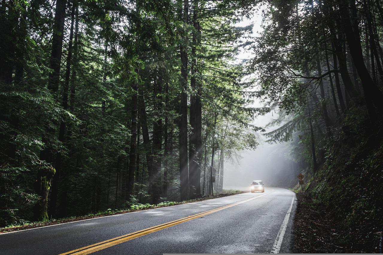 Le montant de la prime à la conversion du véhicule de société varie de 2 500 à 9 000 euros