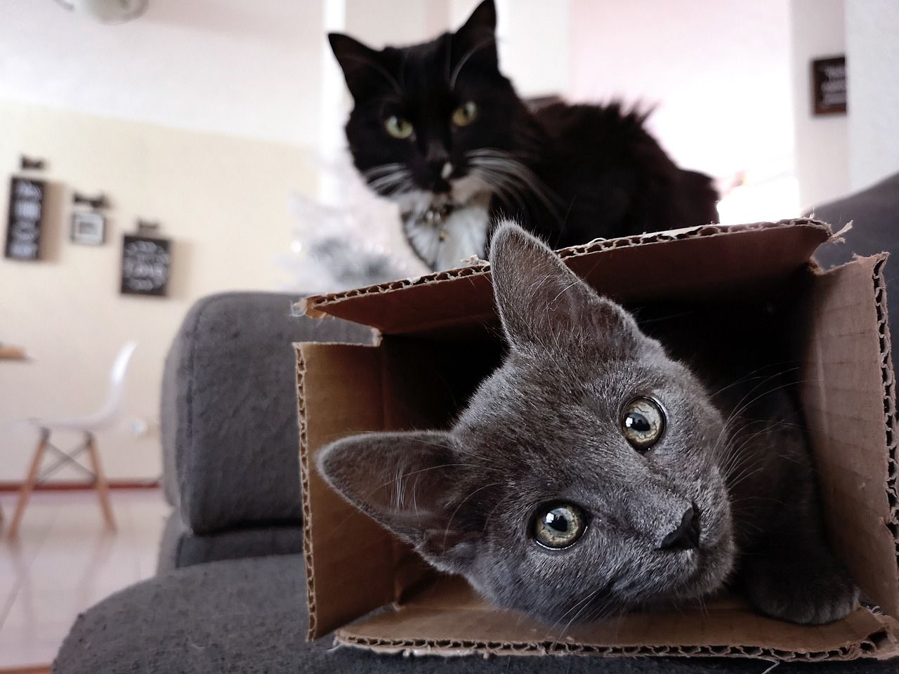 L'estimation du volume de meubles, de cartons et d'objets est un des éléments clés pour une organisation efficace
