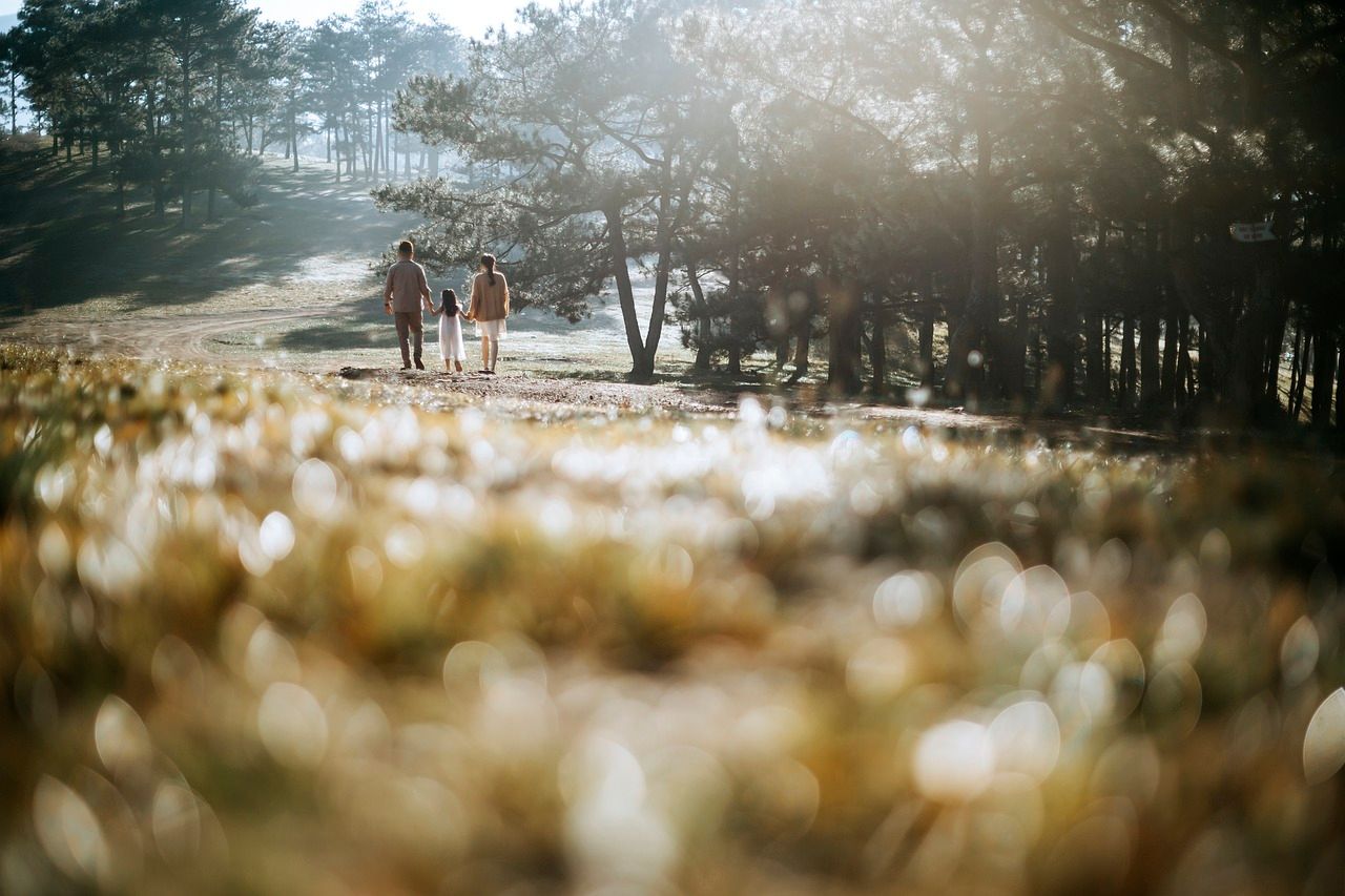 tout ce que vous devez savoir avant de partir à l'aventure sur les routes du Vieux Continent