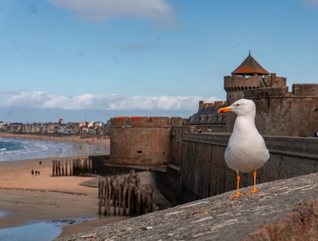 Saint-Malo, avec ses remparts imposants