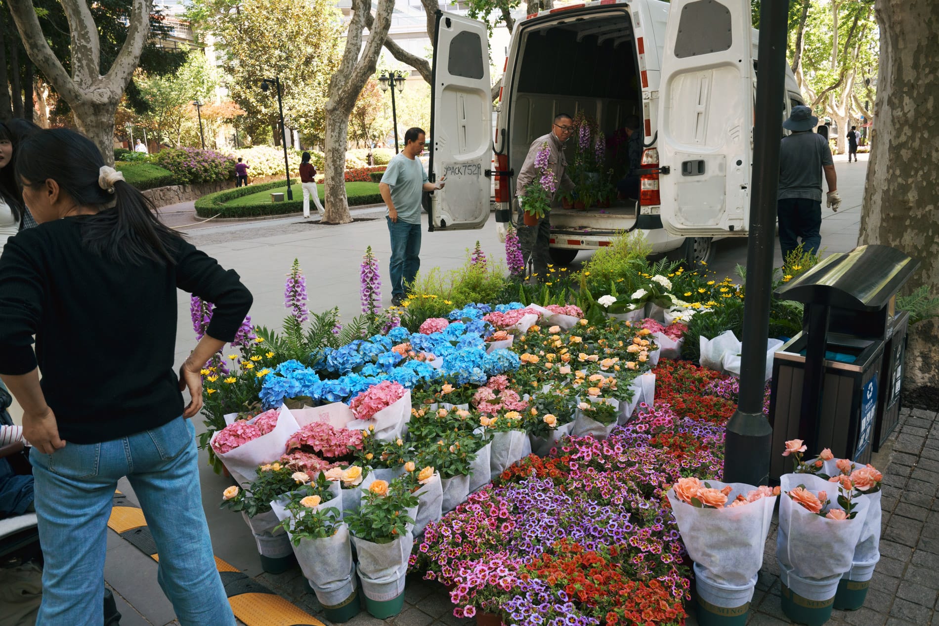 Flowers being unloaded from a truck. Bundles of spring colors.