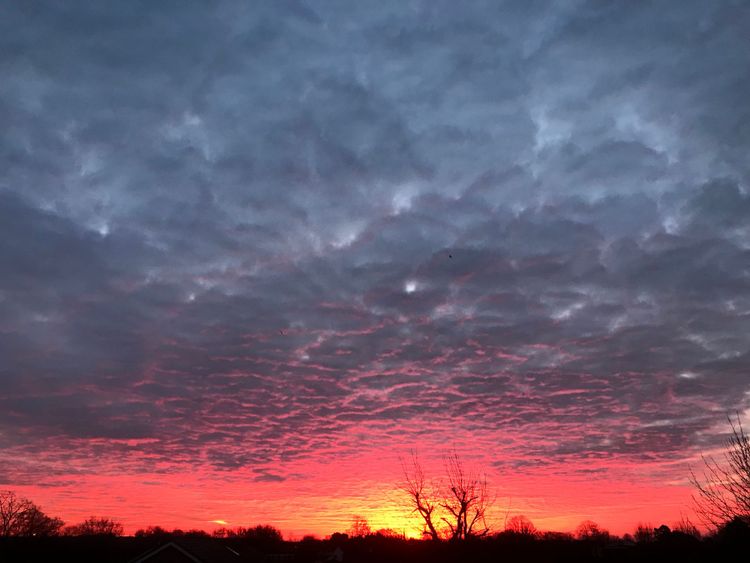 Cowper's Cut 201: Living in WTF times, redisorganisation and recycling failed ideas