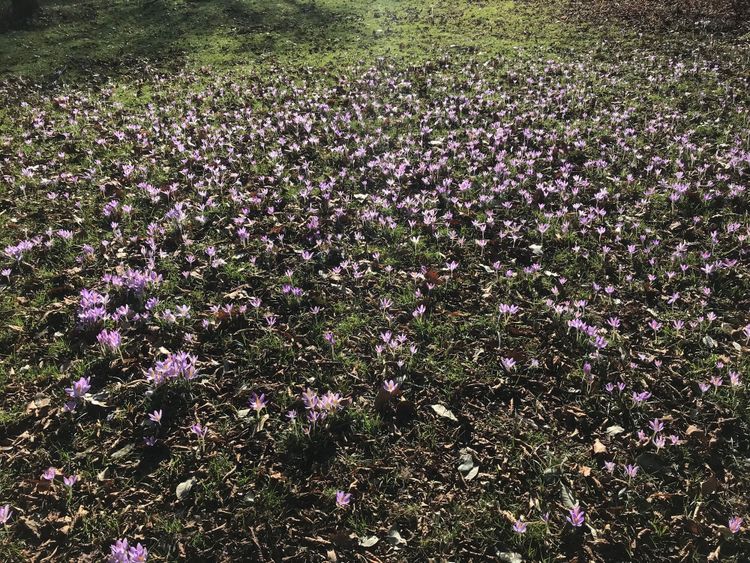 Cowper's Cut 205: So, about that workforce plan?