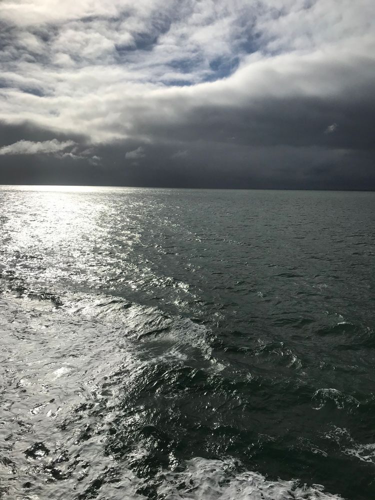 Cowper’s Cut 259: The illusion of control