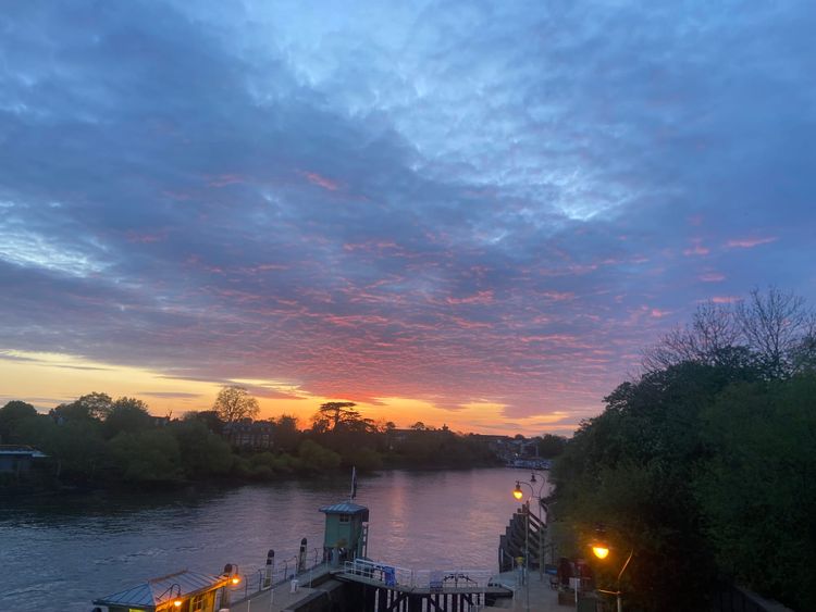 Cowper’s Cut 319: The Great British Health Irrelevance-Off widens scope with PM Sunak’s face-off against Bob the whippet, as The Next Big Screw-Up emerges