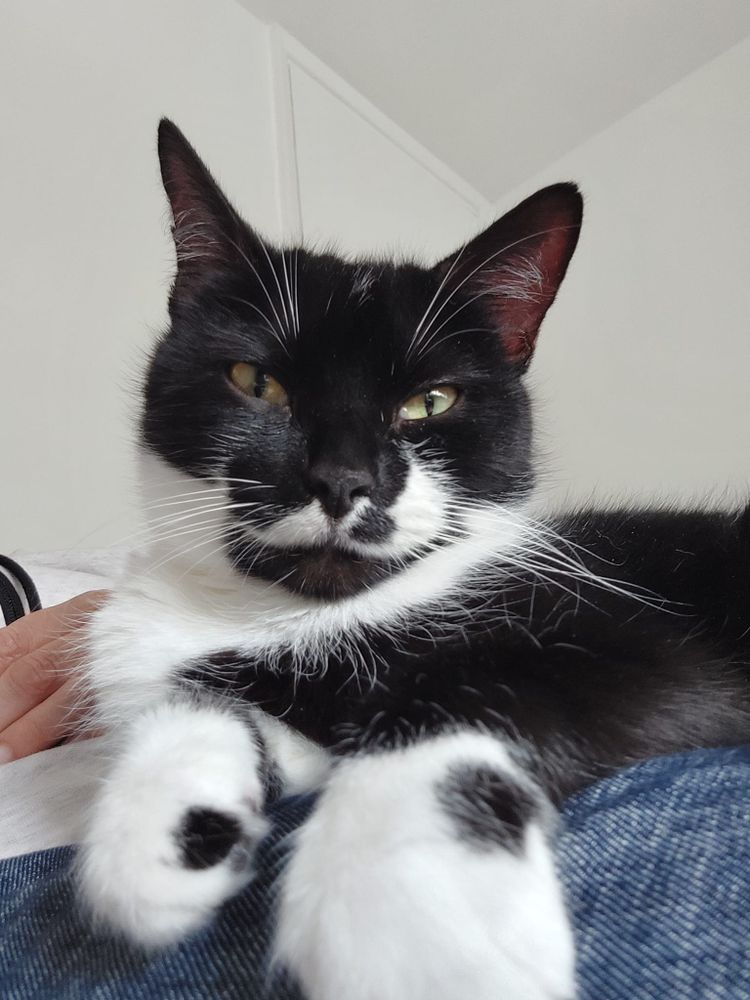 Cowper’s Cut 324: Things Can Only Get Wetter