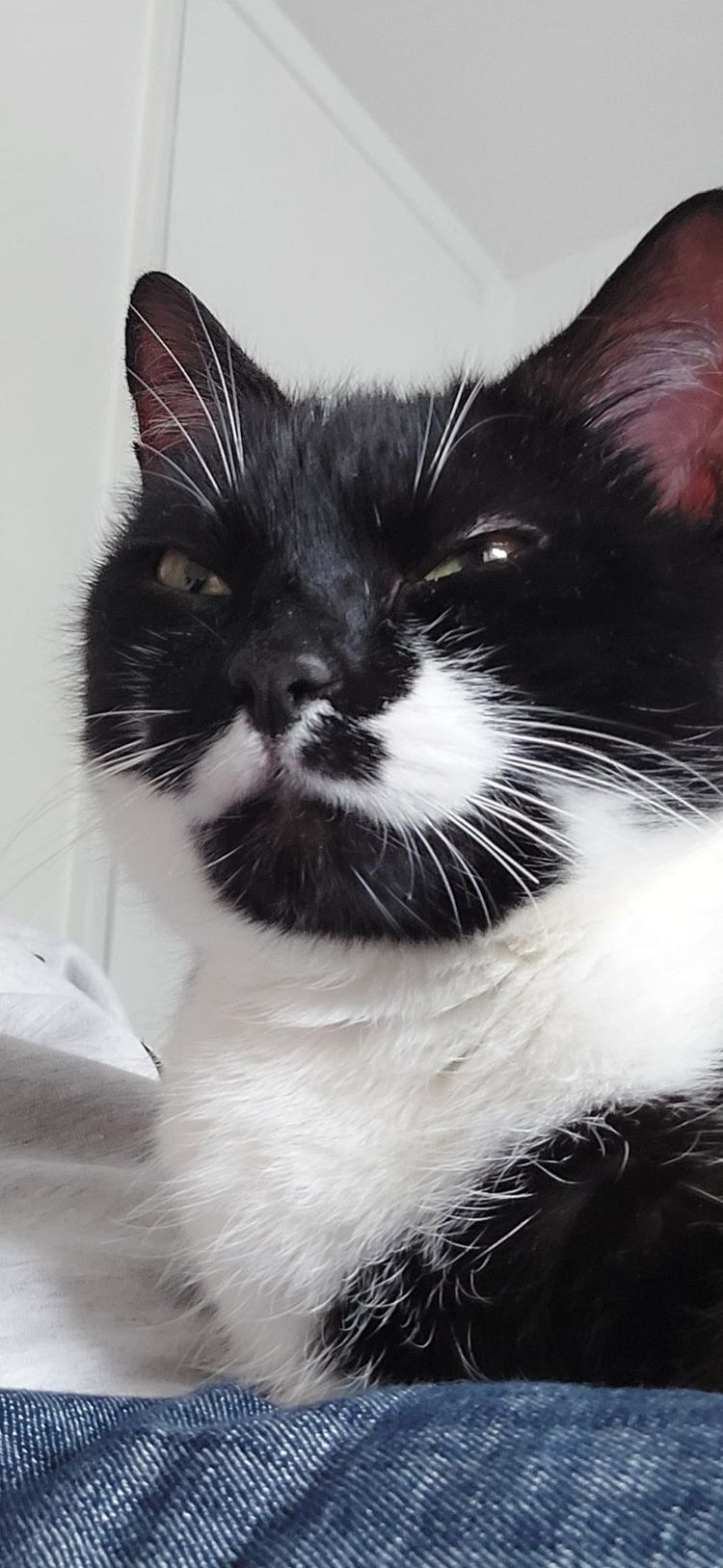 Cowper’s Cut 326: D-Day (as in debate) offers little clarity