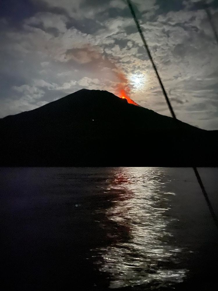 Cowper’s Cut 336: Rumsfelding the NHS