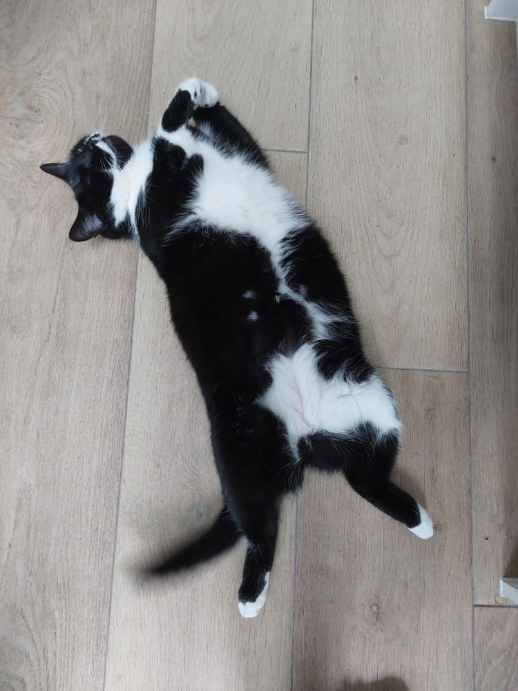 Cowper’s Cut 374: Un-amazing us with Wes’ whim of the week