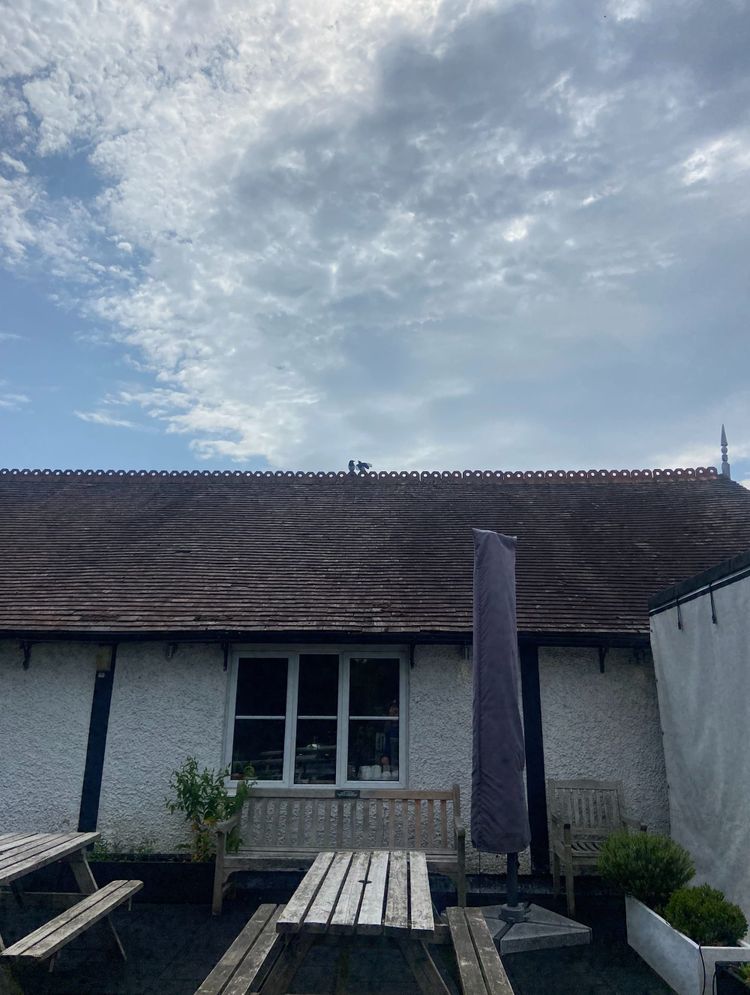 Cowper’s Cut 380: Will Taylorism do?