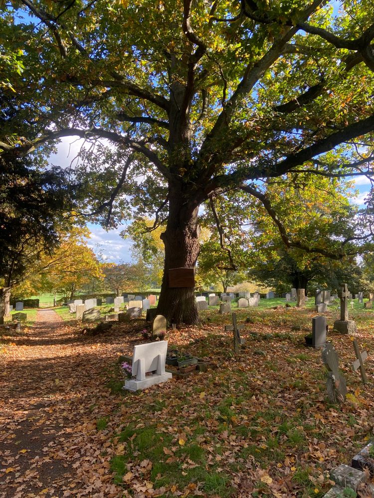 Cowper’s Cut 399: Now we rise, and we are everywhere