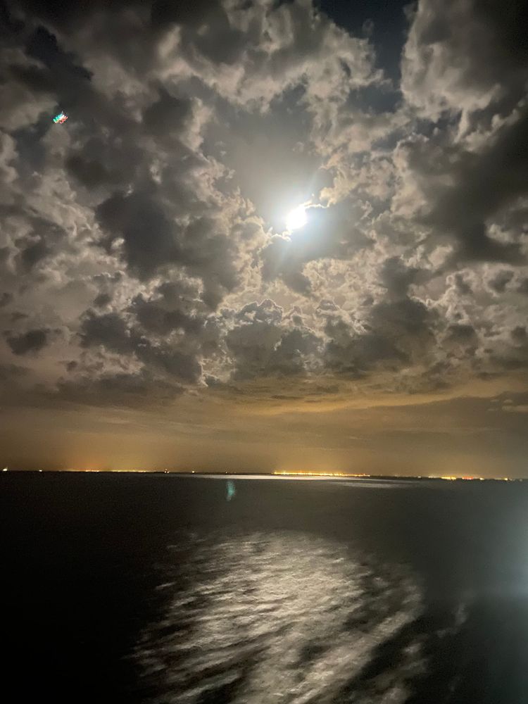 Cowper’s Cut 401: ‘Resident doctors revolting? Try this one weird trick: petulance!’