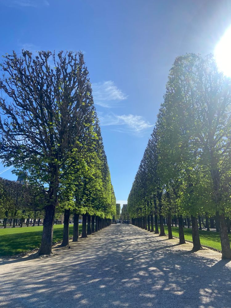 Cowper’s Cut 420: Singing the Higgs Boson Blues with the Department Of Implausible Solutions