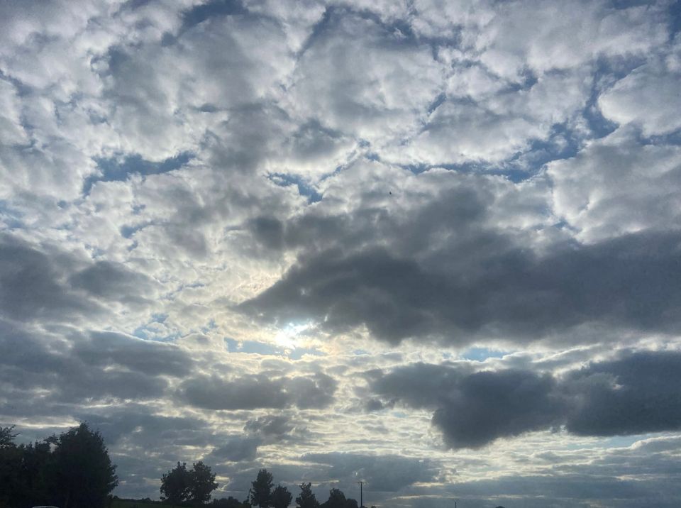 Cowper’s Cut 386: Irony while the strike’s hot