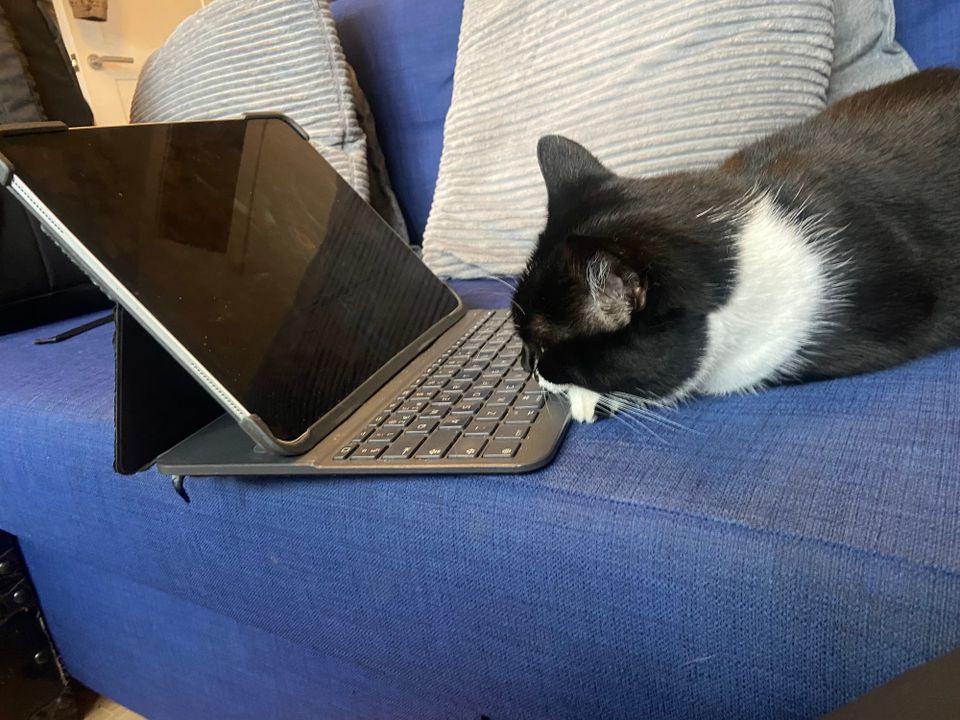 Cowper’s Cut 393: English health policy enters its Skibidi Era