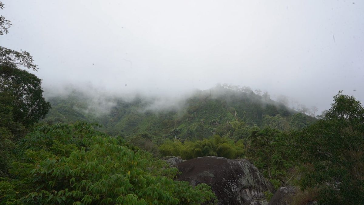 How To Resist a Gold Mine