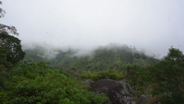 How To Resist a Gold Mine