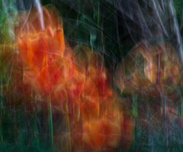 Ghosts of Spring 